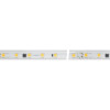 Светодиодная лента ARL-PV-B54-15.5mm 230V White6000 (8 W/m, IP65, 5060, 50m) (Arlight, 8 Вт/м, IP65)027056(2)