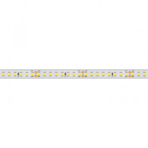 Светодиодная лента герметичная RTW-PS-A160-10mm 24V Day5000 (12 W/m, IP67, 2835, 5m) (Arlight, 12 Вт/м, IP67), 024542(2)