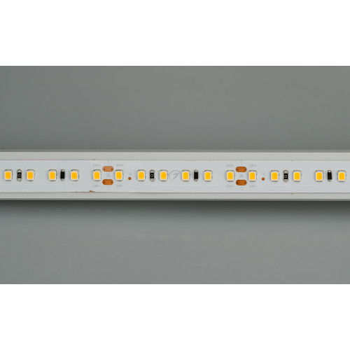 Светодиодная лента IC2-20000 24V Day4000 2x 12mm (2835, 120 LED/m, Long) (Arlight, 9.6 Вт/м, IP20)