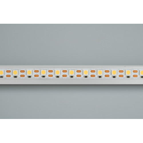 Светодиодная лента RT 2-5000 12V Cx1 White6000 2x (5060, 360 LED, LUX) (Arlight, 15.6 Вт/м, IP20), 011705(1)