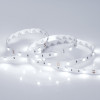 Светодиодная лента RT 2-5000 12V White6000 (5060, 150 LED, LUX) (Arlight, 7.2 Вт/м, IP20), 010595(B)