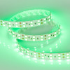 Светодиодная лента RT 2-5000 24V Green 2x2 (5060, 600 LED, LUX) (Arlight, 28.8 Вт/м, IP20)