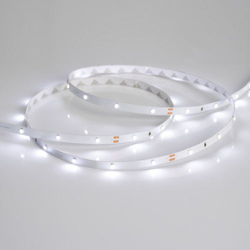 Светодиодная лента RT 2-5000 24V White6000 0.5x (3528, 150 LED, LUX) (Arlight, 2.9 Вт/м, IP20)