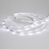 Светодиодная лента RT 2-5000 24V White6000 0.5x (3528, 150 LED, LUX) (Arlight, 2.9 Вт/м, IP20), 019917(B)