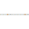 Светодиодная лента RT 2-5000 24V White6000 (3528, 300 LED, LUX) (Arlight, 4.8 Вт/м, IP20)