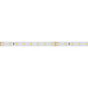 Светодиодная лента RT 2-5000-50m 24V Day4000 (2835, 80 LED/m, LUX) (Arlight, 6 Вт/м, IP20), 024524(1)