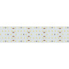 Светодиодная лента S2-2500 24V Warm 2700K 52mm (2835, 420 LED/m, LUX) (Arlight, 30 Вт/м, IP20)