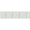 Светодиодная лента S2-2500 24V White 5500K 52mm (2835, 420 LED/m, LUX) (Arlight, 30 Вт/м, IP20)